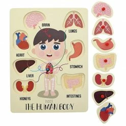Blue Panda Special Occasions Educational Wood Peg Anatomy Puzzle, Kids' Game For Learning Human Body Parts (9 X 12 In, 2 Pack)