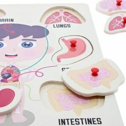 Blue Panda Special Occasions Educational Wood Peg Anatomy Puzzle, Kids' Game For Learning Human Body Parts (9 X 12 In, 2 Pack)