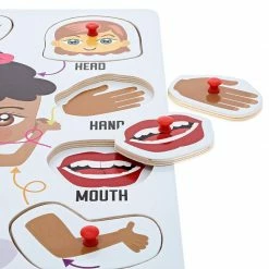 Blue Panda Special Occasions Educational Wood Peg Anatomy Puzzle, Kids' Game For Learning Human Body Parts (9 X 12 In, 2 Pack)