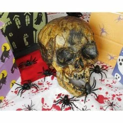 Blue Panda Plastic Skull For Halloween, Rotting Fake Skeleton Head (5.7 X 7 X 7.5 Inches)