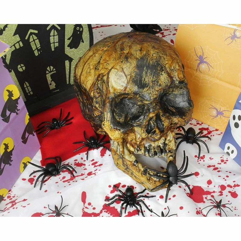 Blue Panda Plastic Skull For Halloween, Rotting Fake Skeleton Head (5.7 X 7 X 7.5 Inches) 4 Blue Panda Plastic Skull For Halloween, Rotting Fake Skeleton Head (5.7 X 7 X 7.5 Inches)