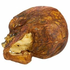 Blue Panda Plastic Skull For Halloween, Rotting Fake Skeleton Head (5.7 X 7 X 7.5 Inches) 12 Blue Panda Plastic Skull For Halloween, Rotting Fake Skeleton Head (5.7 X 7 X 7.5 Inches)