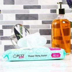 Blue Panda Flushable Butt Wet Wipes For Kids And Adults, Aloe Vera Scented (480 Count Total, 10 Pack)