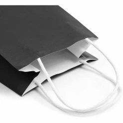 Blue Panda Paper Party Gift Bags With Handles (9 X 5.3 In, Black, 25-Pack) 12 Blue Panda Paper Party Gift Bags With Handles (9 X 5.3 In, Black, 25-Pack)