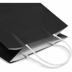 Blue Panda Party Bags And Boxes Paper Party Gift Bags With Handles (8 X 10 In, Medium Size, Black, 25-Pack)