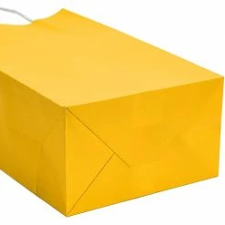 Blue Panda Paper Party Gift Bags With Handles (9 X 5.3 In, Yellow, 25-Pack)