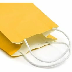 Blue Panda Paper Party Gift Bags With Handles (9 X 5.3 In, Yellow, 25-Pack)