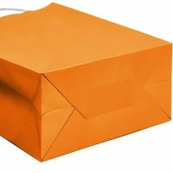 Blue Panda Paper Party Gift Bags With Handles (8 X 10 In, Medium Size, Orange, 25-Pack) Party Bags And Boxes