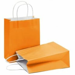 Blue Panda Paper Party Gift Bags With Handles (8 X 10 In, Medium Size, Orange, 25-Pack) Party Bags And Boxes