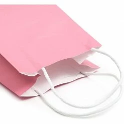 Blue Panda Paper Party Gift Bags With Handles (9 X 5.3 In, Pink, 25-Pack)
