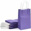 Blue Panda Paper Party Gift Bags With Handles (9 X 5.3 In, Purple, 25-Pack)