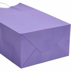 Blue Panda Paper Party Gift Bags With Handles (9 X 5.3 In, Purple, 25-Pack)