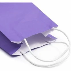 Blue Panda Paper Party Gift Bags With Handles (9 X 5.3 In, Purple, 25-Pack)