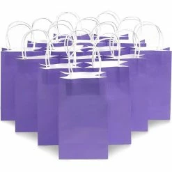 Blue Panda Paper Party Gift Bags With Handles (9 X 5.3 In, Purple, 25-Pack)