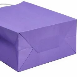 Blue Panda Paper Party Gift Bags With Handles (8 X 10 In, Medium Size, Purple, 25-Pack) Party Bags And Boxes