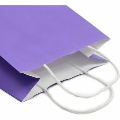 Blue Panda Paper Party Gift Bags With Handles (8 X 10 In, Medium Size, Purple, 25-Pack) Party Bags And Boxes
